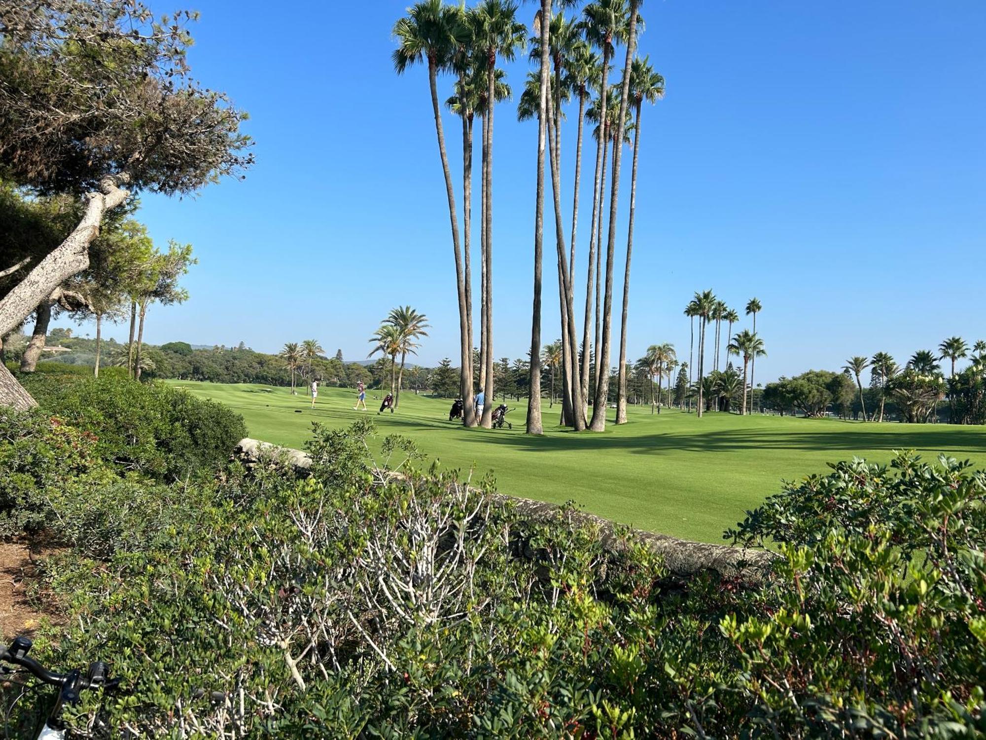 דירות New View Sotogrande Marina - Jungla Del Loro מראה חיצוני תמונה